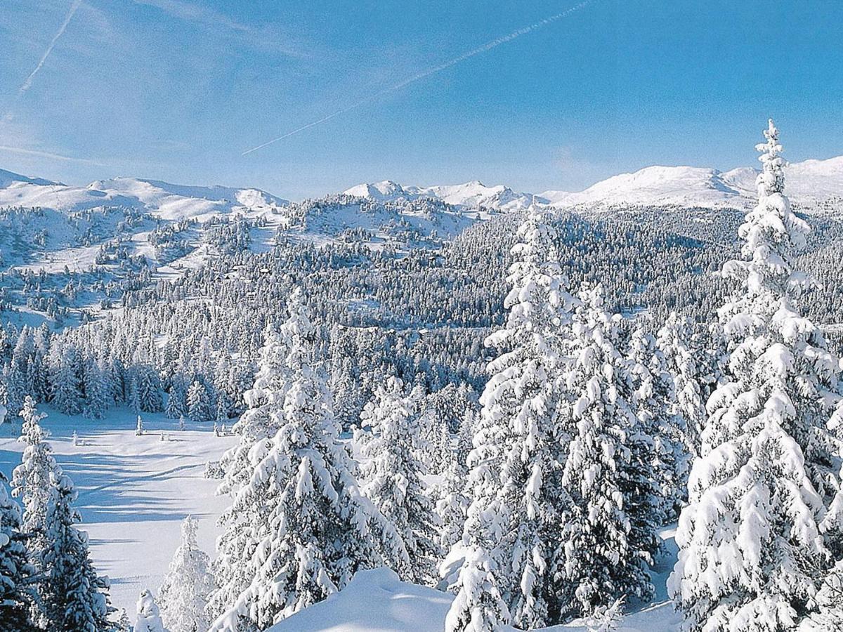 Chalet In Turracherh He Styria Near Ski Area تراشر هوهه المظهر الخارجي الصورة